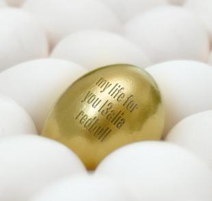 golden  egg